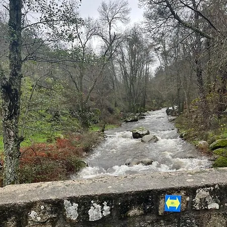 El Secreto Del Arroyo