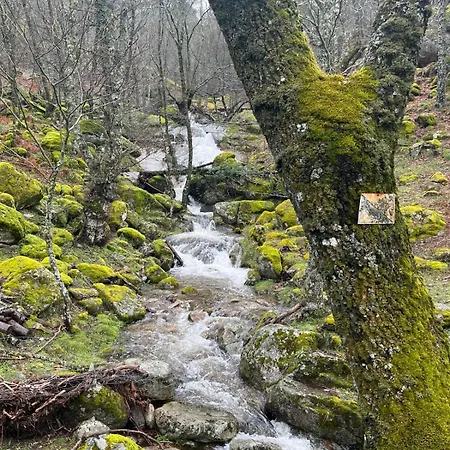 El Secreto Del Arroyo *