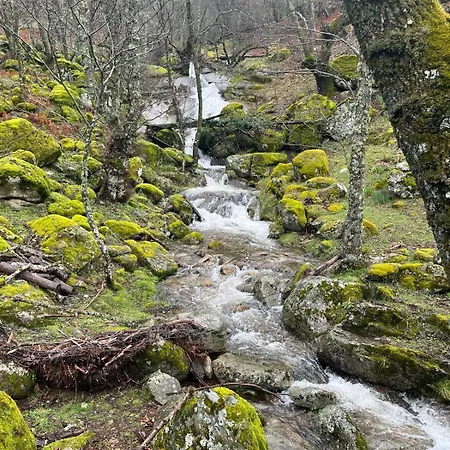 El Secreto Del Arroyo Avila