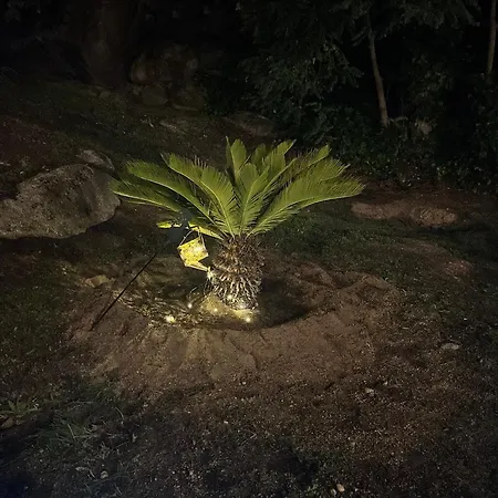 El Secreto Del Arroyo Ávila