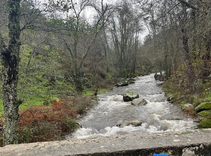 El Secreto Del Arroyo