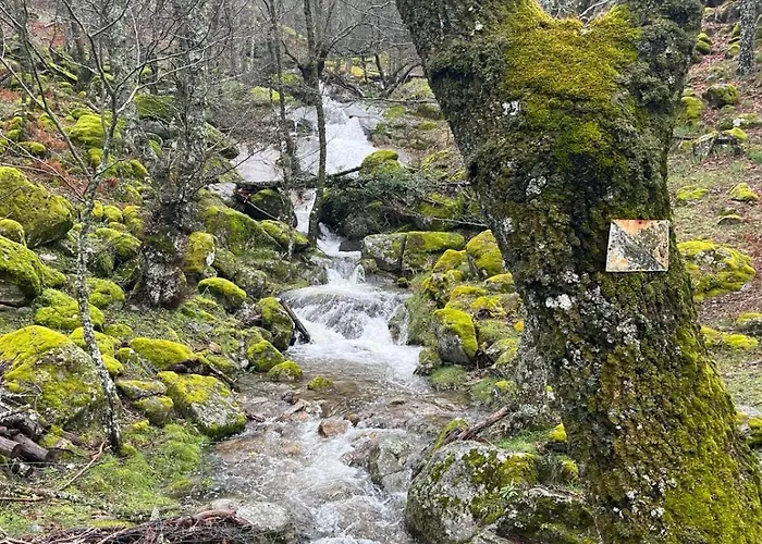 El Secreto Del Arroyo *