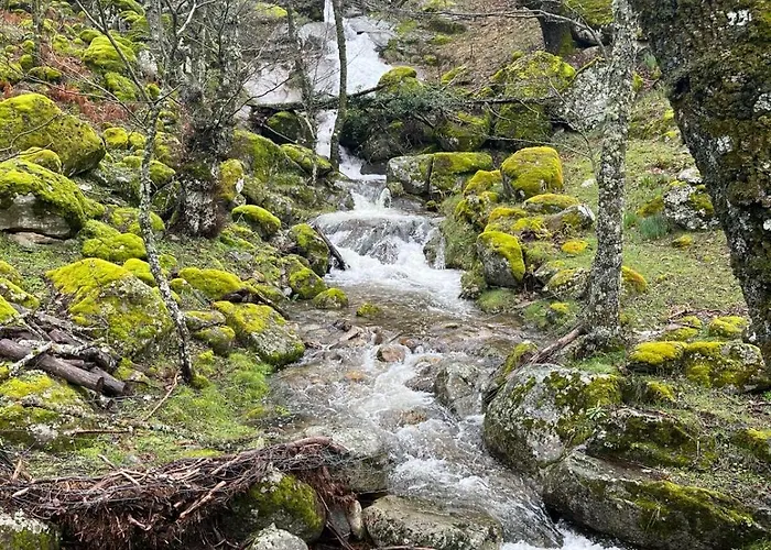 El Secreto Del Arroyo Ávila