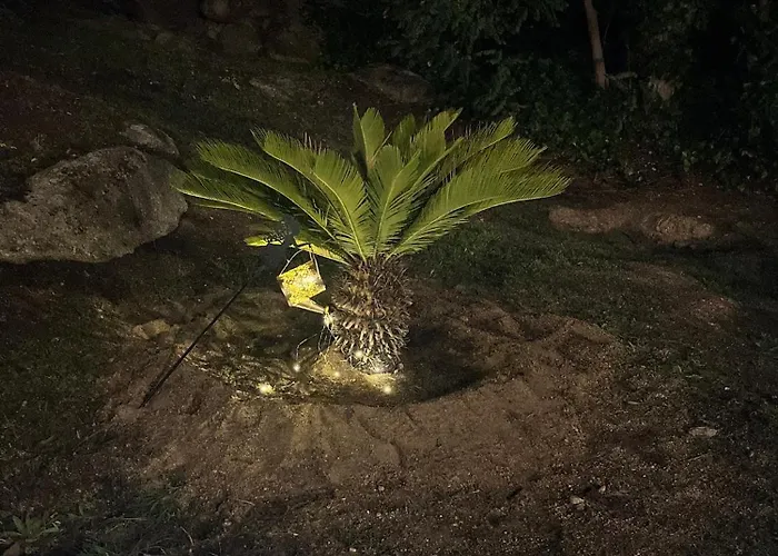 El Secreto Del Arroyo Avila